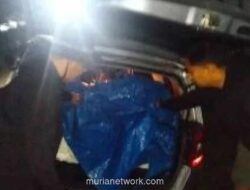 BNN Sumbar Amankan 150 Kilogram Ganja dari Jaringan Lintas Provinsi di Agam