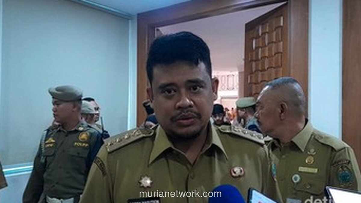 Bobby Nasution Pastikan Listrik Sumut Pulih 100 Persen, Soroti Dampak Blackout ke Peternakan dan Perikanan