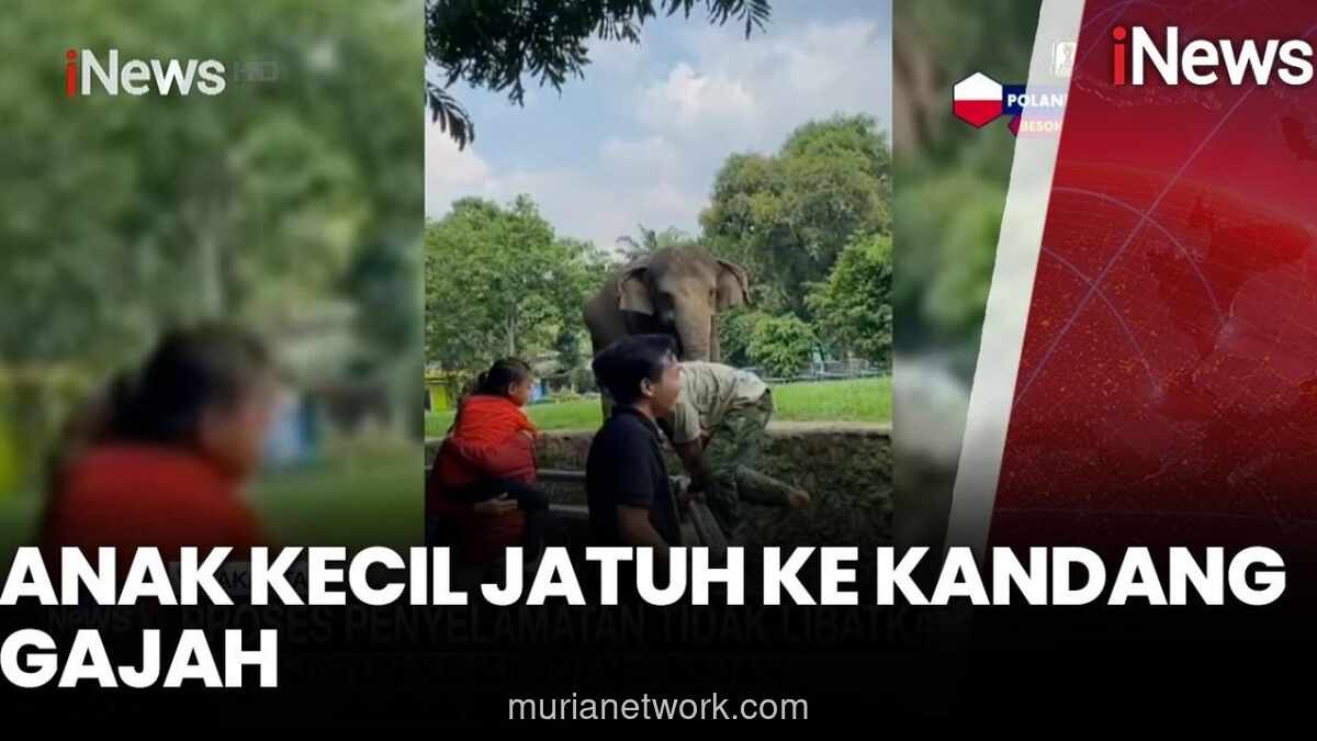 Anak Terpeleset Jatuh ke Parit Kandang Gajah di Ragunan, Petugas Evakuasi Tanpa Cedera