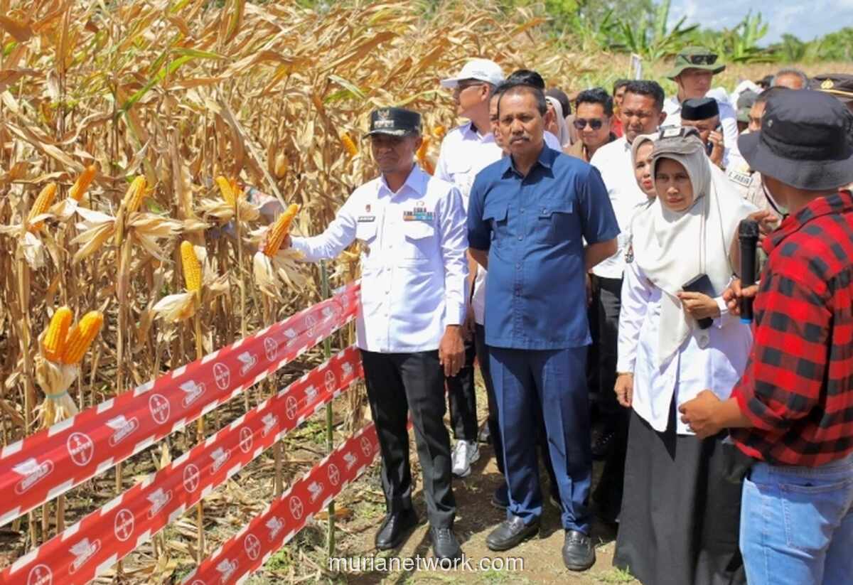 Bulog Kirim 2.000 Ton Jagung dari Bone ke Tulungagung untuk Jaga Stabilitas Pangan Nasional