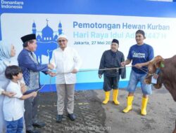 BRI Salurkan 5.000 Lebih Hewan Kurban ke Seluruh Indonesia saat Idul Adha