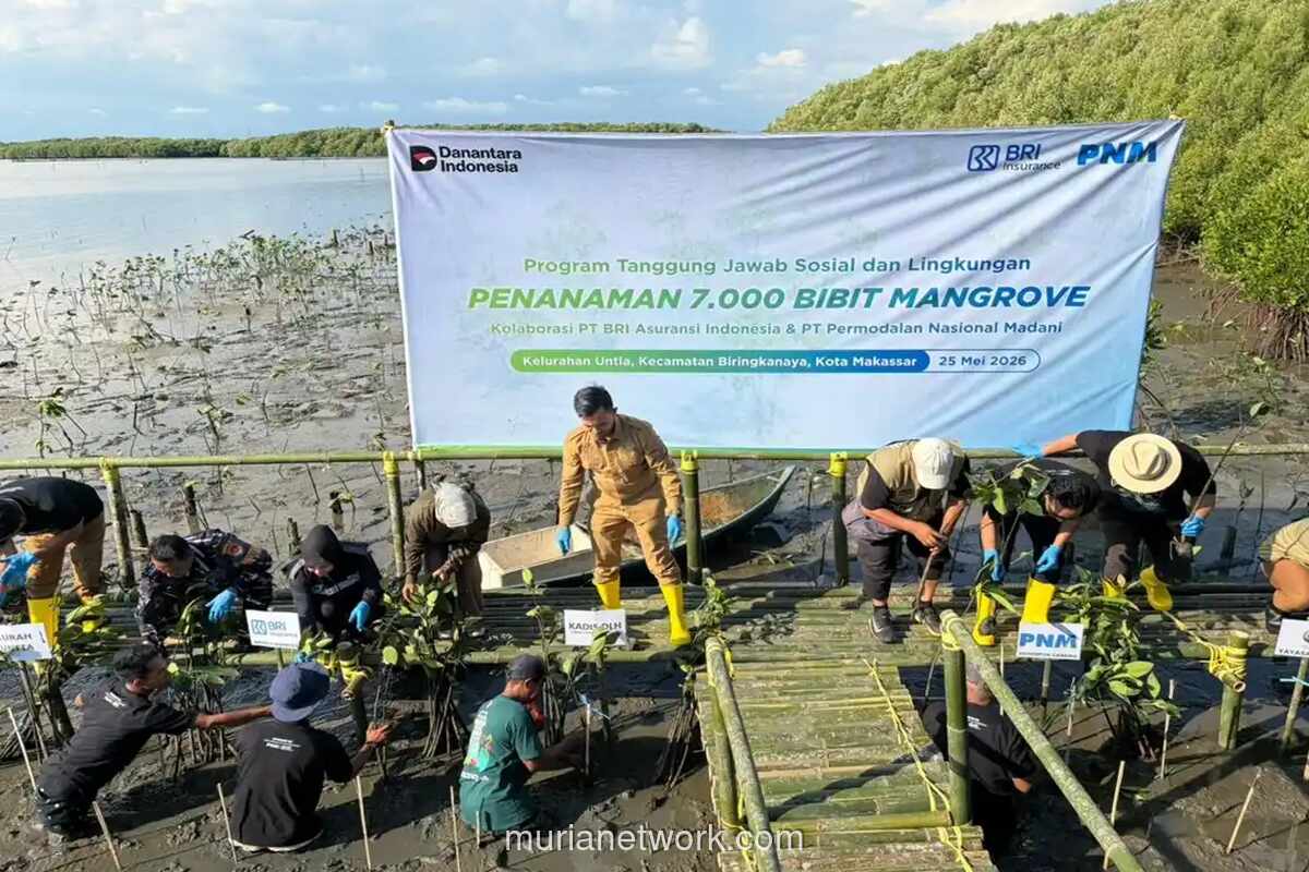 BRI Insurance dan PNM Tanam 7.000 Bibit Mangrove di Pesisir Makassar