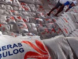 Bulog Serap Hampir 3 Juta Ton Gabah Petani, Capai 75 Persen Target 2026