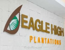 Eagle High Plantations Kembali Ajukan Kuasi Reorganisasi untuk Hapus Defisit Rp3,71 Triliun