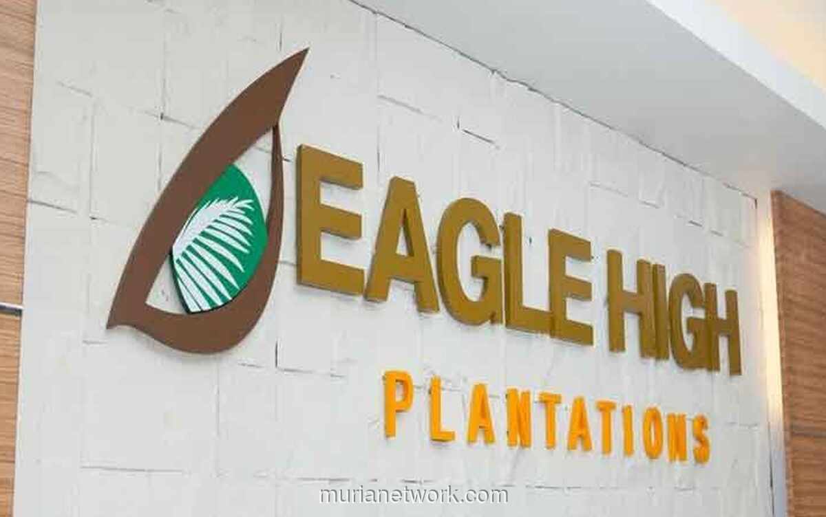 Eagle High Plantations Kembali Ajukan Kuasi Reorganisasi untuk Hapus Defisit Rp3,71 Triliun