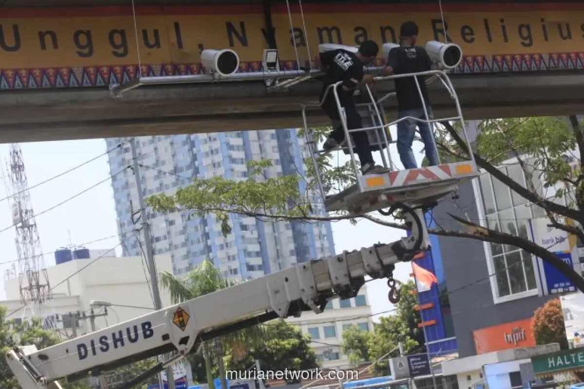 Polisi Sediakan Cara Cek Tilang Elektronik via Ponsel, Begini Langkahnya