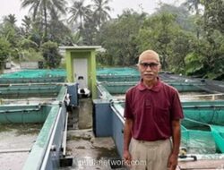 Pensiunan BUMN Sukses Kembangkan Budi Daya Ikan Nila Bioflok di Bogor, Raup Omzet Jutaan Rupiah
