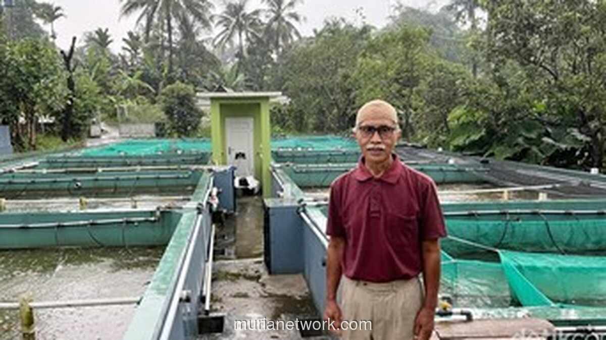 Pensiunan BUMN Sukses Kembangkan Budi Daya Ikan Nila Bioflok di Bogor, Raup Omzet Jutaan Rupiah