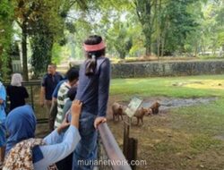 Libur Panjang, Ragunan Dipadati Pengunjung yang Antusias Lihat Kapibara Viral