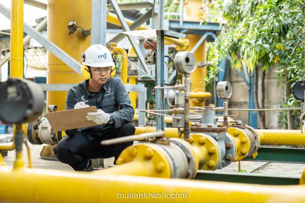 Proyek LNG CGAS di Karawang Terancam Molor, Baru 70 Persen