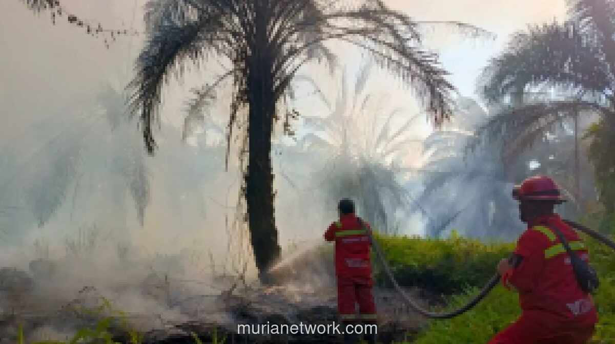 Kebakaran Hutan dan Lahan di Riau Meluas, Petugas Terkendala Cuaca Panas dan Minim Air