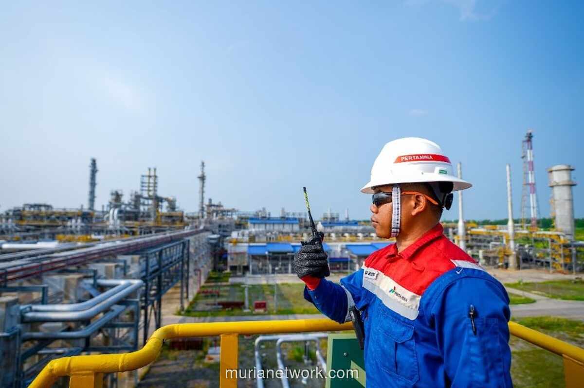 PHE Minta Dukungan Pemerintah Percepat Perizinan Lahan dan Pasokan Listrik Demi Dongkrak Produksi Migas