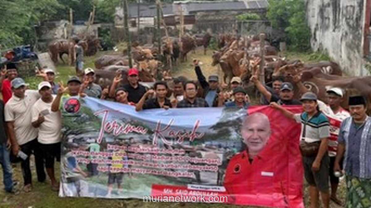 PDIP Jatim Bagikan 485 Ekor Sapi Kurban untuk Warga Miskin dan Panti Asuhan