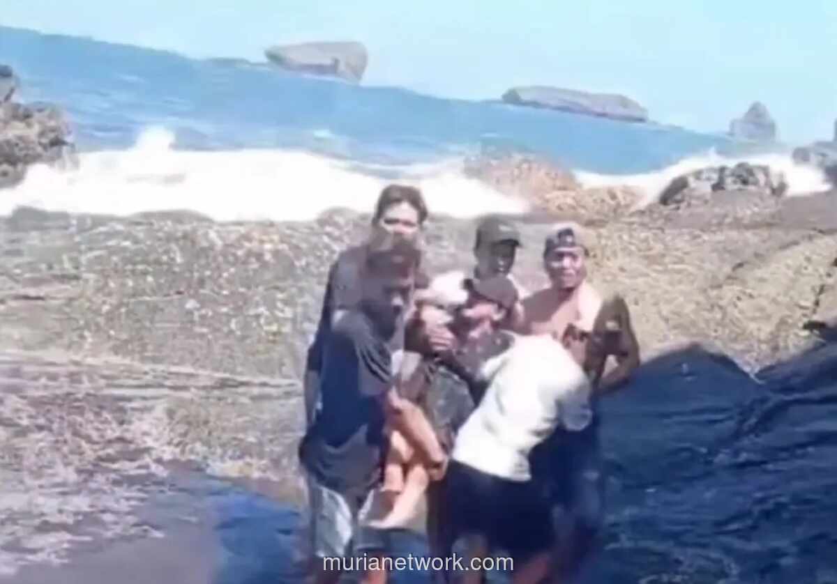 Warga Gagalkan Aksi Bunuh Diri Wanita Depresi di Tebing Pantai Watu Ulo Jember