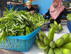 KWT Mawar 8 di Tangerang Jaga Kualitas Sayur Hidroponik, Utamakan Mutu Dibanding Volume Panen