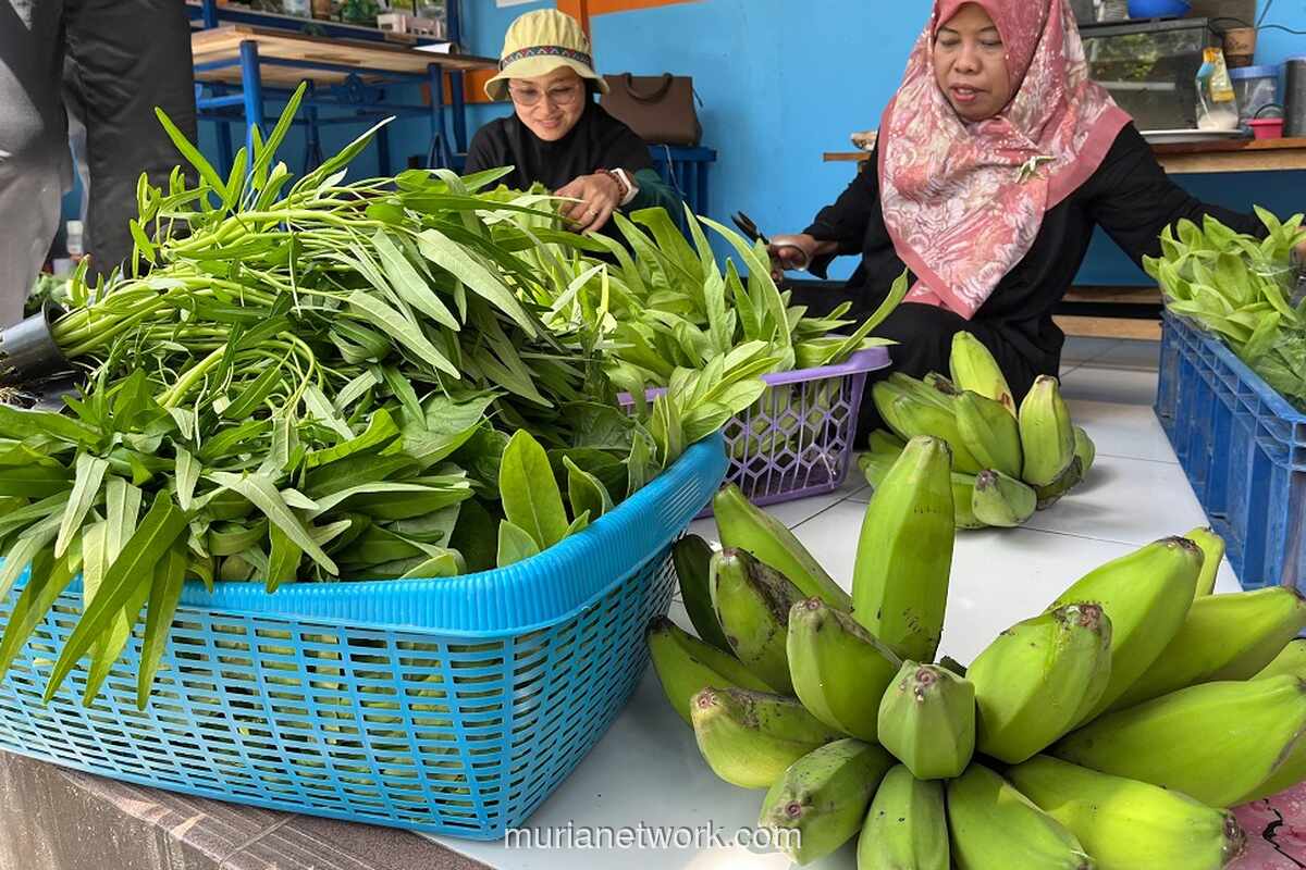 KWT Mawar 8 di Tangerang Jaga Kualitas Sayur Hidroponik, Utamakan Mutu Dibanding Volume Panen
