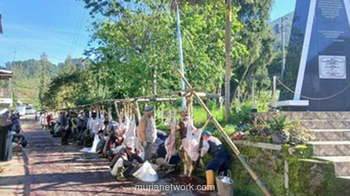 Idul Adha 2026 di Banjarnegara: 339 Kambing Dominasi Kurban, Geser Tren Sapi