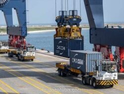 Alpukat Kenya Tiba di Cina, Era Baru Dagang Bebas Tarif dengan Afrika Dimulai