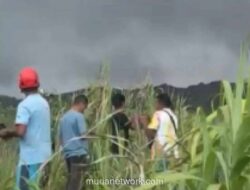 Pencarian Dua Pendaki Singapura di Gunung Dukono Berlanjut, Tujuh WNA Lain Selamat
