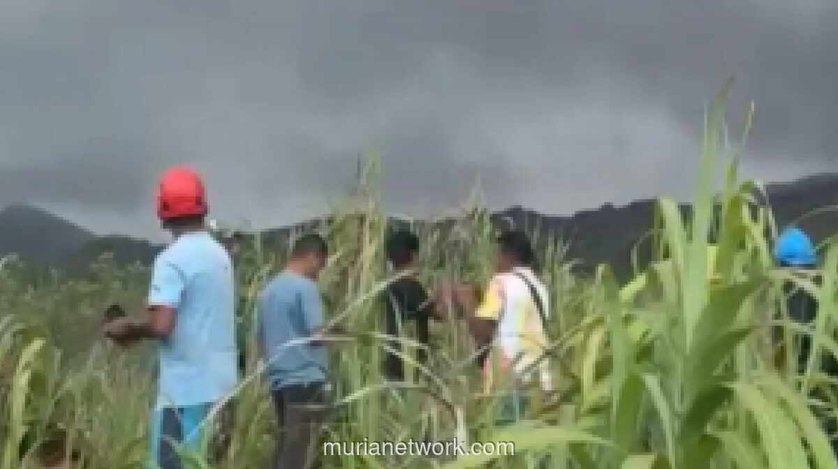 Pencarian Dua Pendaki Singapura di Gunung Dukono Berlanjut, Tujuh WNA Lain Selamat