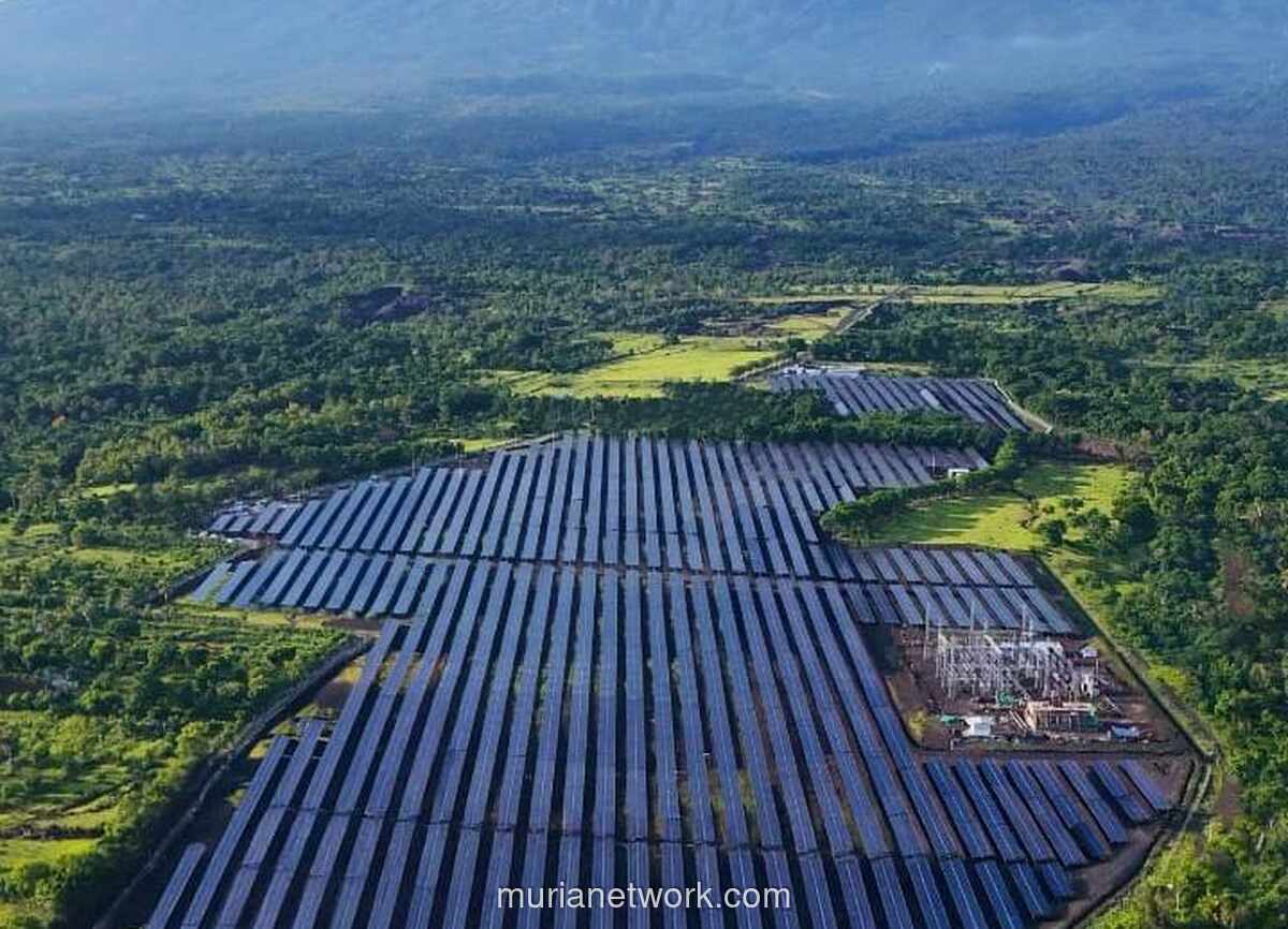 Pemerintah Siapkan PLTS 100 GW di Jawa, Target Gantikan PLTD dalam Tiga Tahun