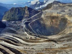 PT Freeport Setor Rp75 Triliun ke Negara hingga 2025, Termasuk Tambahan Laba Rp4,8 Triliun