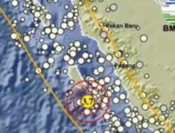 Gempa Magnitudo 3,7 Guncang Mentawai, BMKG Sebut Gempa Dangkal