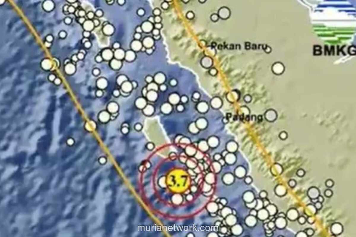 Gempa Magnitudo 3,7 Guncang Mentawai, BMKG Sebut Gempa Dangkal