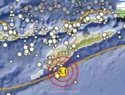 Gempa M 5,1 Guncang Timor Tengah Selatan, BMKG Pastikan Tak Berpotensi Tsunami