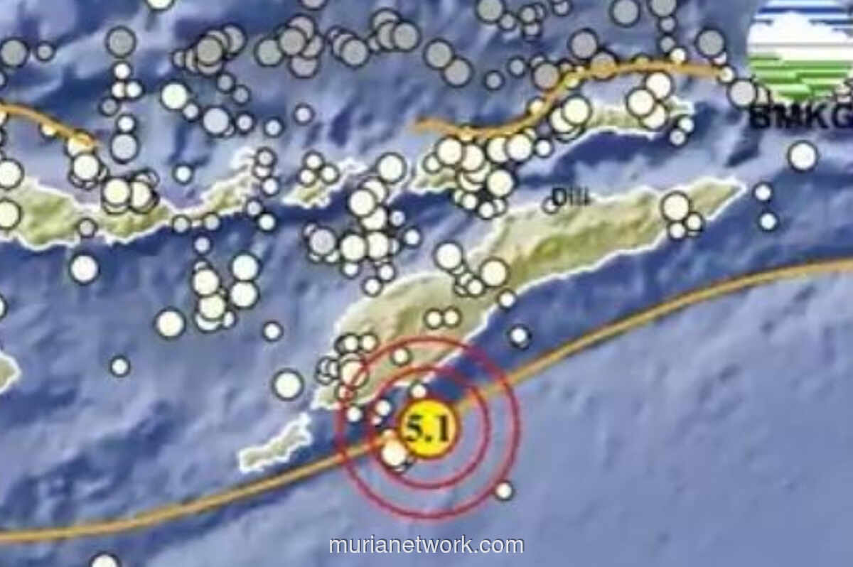 Gempa M 5,1 Guncang Timor Tengah Selatan, BMKG Pastikan Tak Berpotensi Tsunami