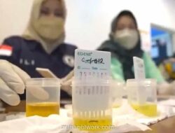 Polisi Gerebek Diskotek di Labuhanbatu, Amankan Enam Orang dan Temukan Pil Ekstasi Bermerek Minion