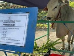 Gerindra Bantah Polemik Bantuan Sapi Kurban Presiden: Berlandas APBN, Bukan Uang Pribadi