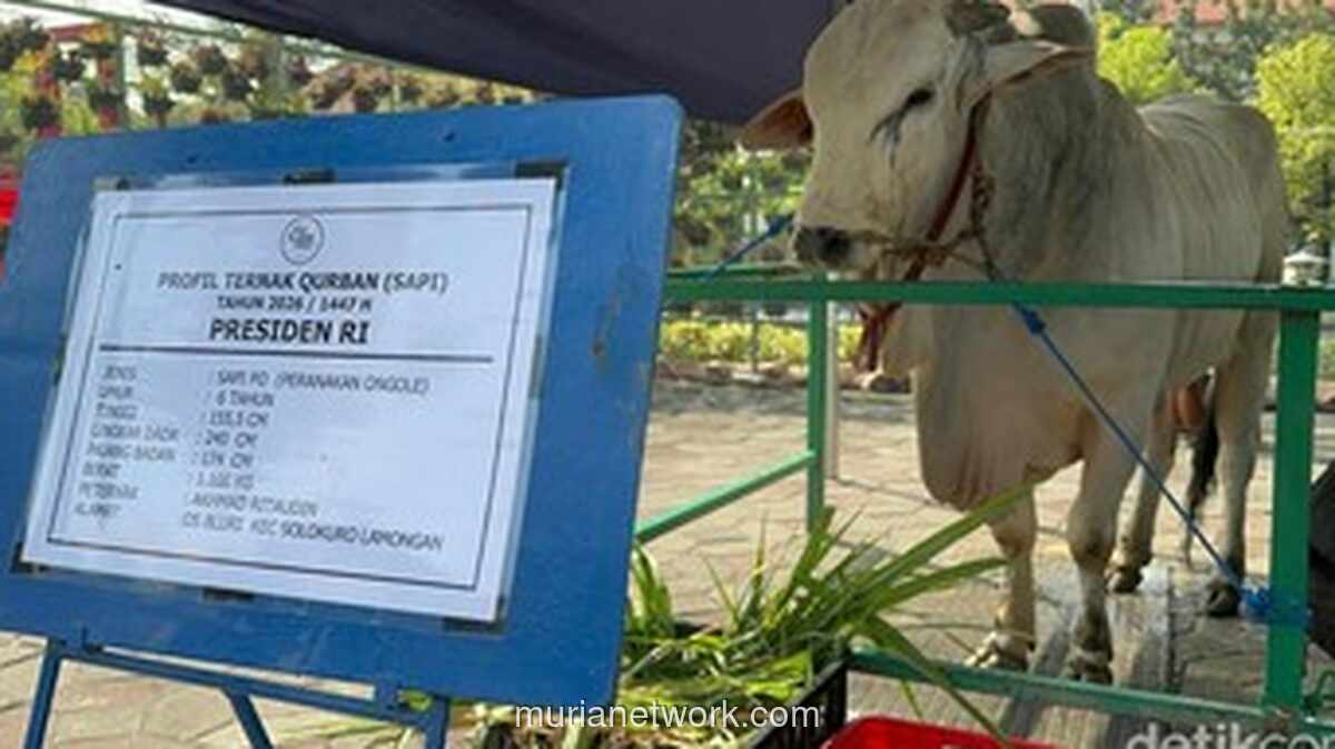 Gerindra Bantah Polemik Bantuan Sapi Kurban Presiden: Berlandas APBN, Bukan Uang Pribadi