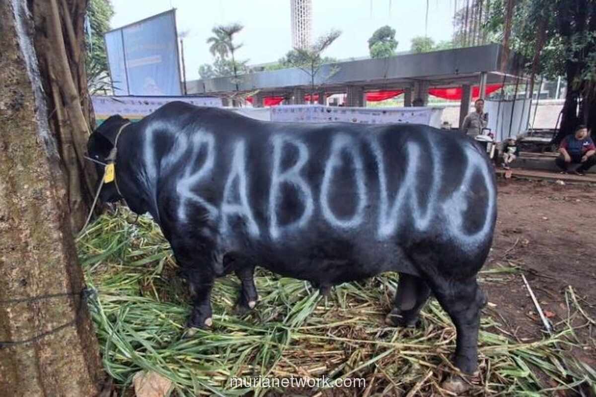 Gerindra: Bantuan Sapi Kurban Presiden dari APBN 2026 Legal dan Sudah Sesuai Aturan