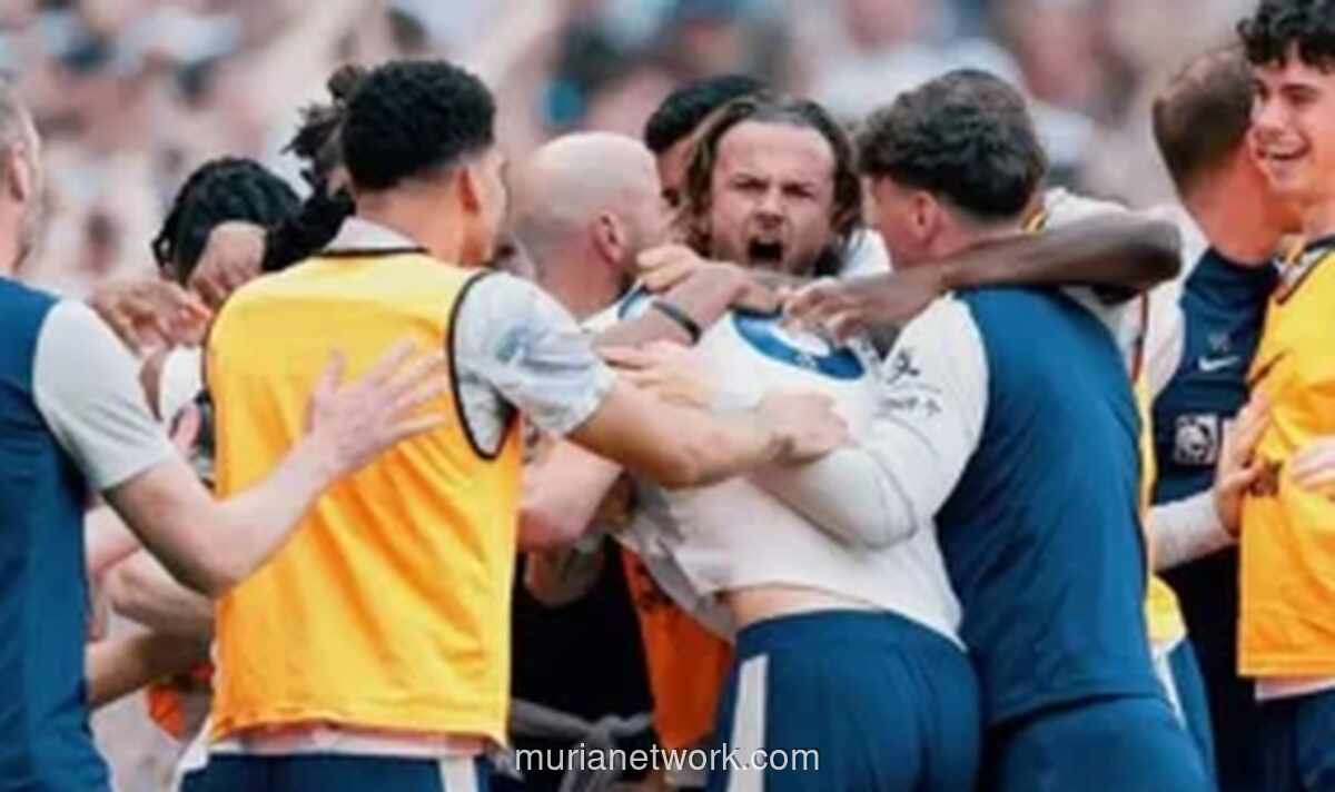 Tottenham Selamat dari Degradasi Usai Kalahkan Everton 1-0