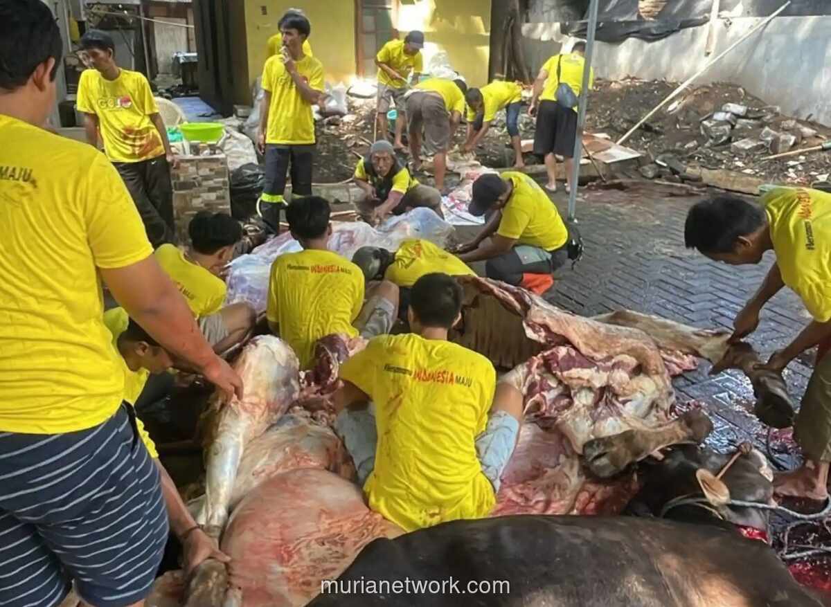 Golkar DKI Jakarta Potong 117 Hewan Kurban untuk Iduladha 1447 H, Sebar ke Lima Wilayah