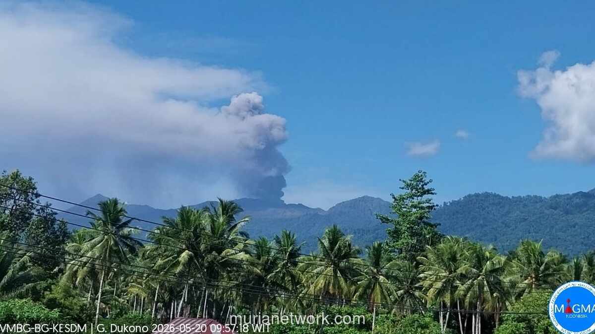 Gunung Dukono Erupsi, Semburkan Abu Vulkanik Setinggi 1.500 Meter ke Arah Utara