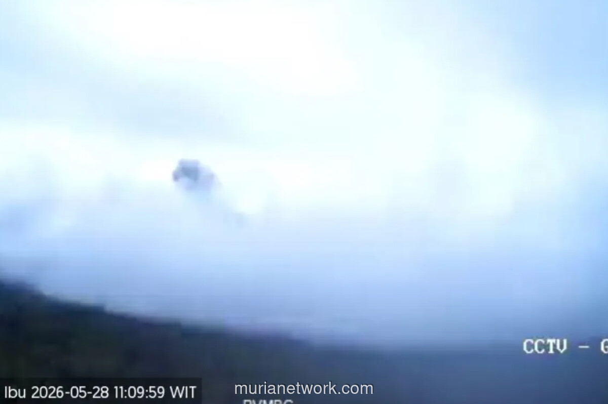 Gunung Ibu di Halmahera Barat Erupsi, Kolom Abu Capai 400 Meter
