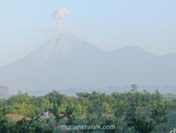 Gunung Semeru Erupsi Tiga Kali Berturut-turut Minggu Pagi, Kolom Abu Capai 700 Meter