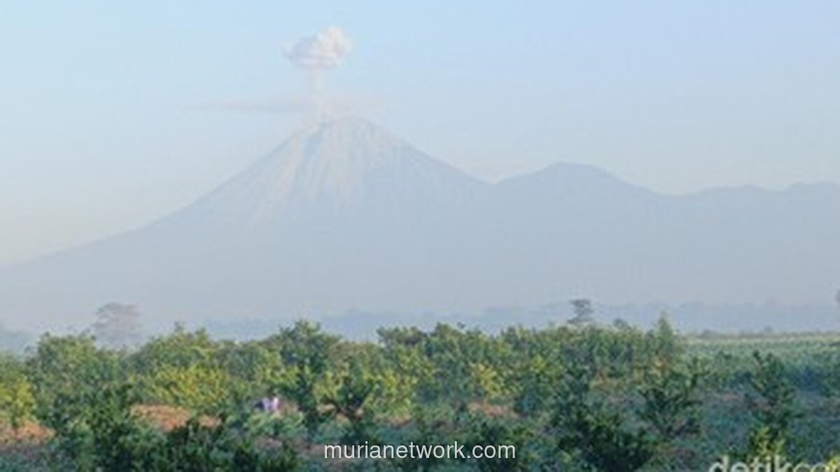 Gunung Semeru Erupsi Tiga Kali Berturut-turut Minggu Pagi, Kolom Abu Capai 700 Meter