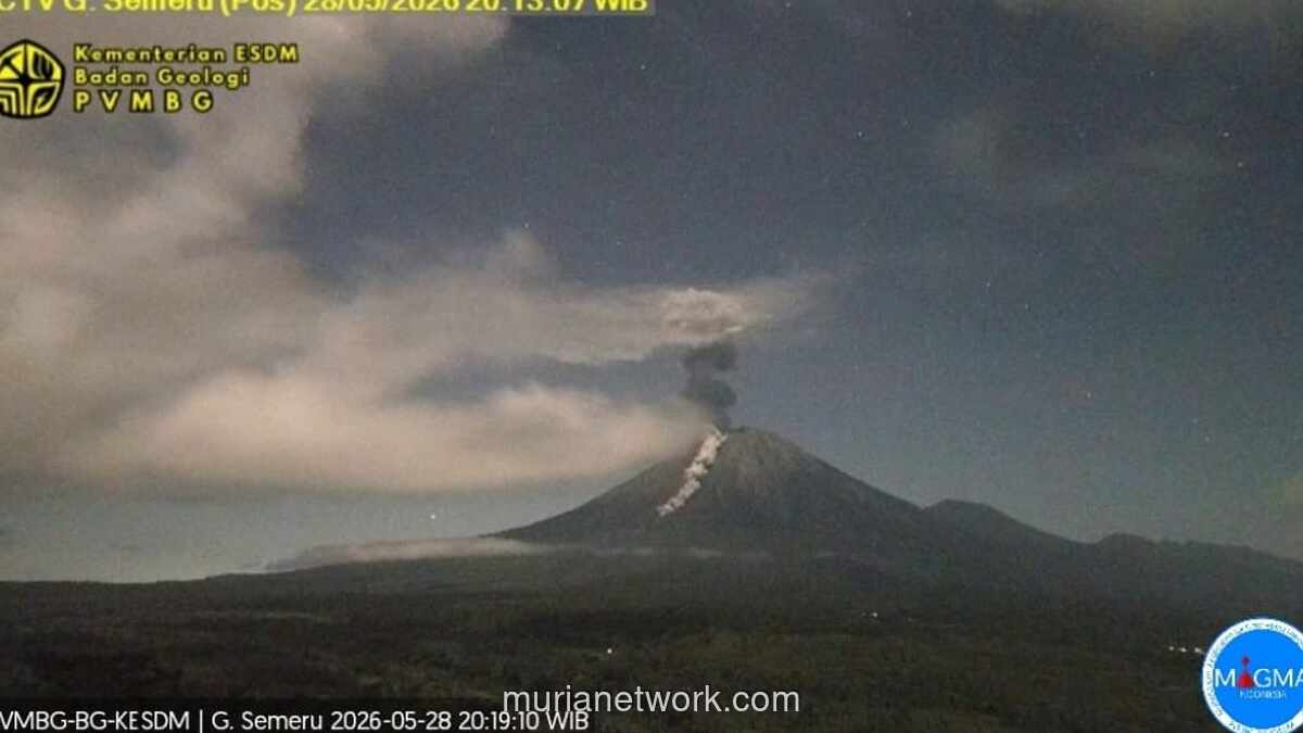 Gunung Semeru Erupsi Disertai Awan Panas Guguran, PVMBG Keluarkan Imbauan Radius 13 Kilometer