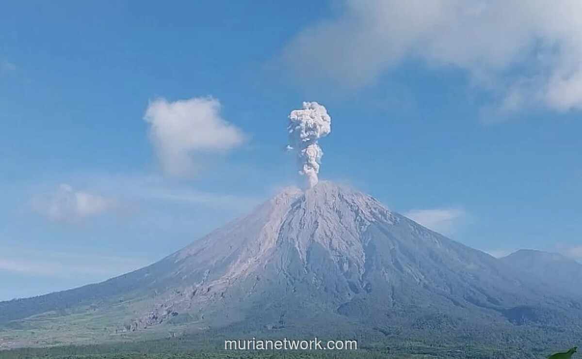 Gunung Semeru Erupsi, Kolom Abu Setinggi 1.300 Meter Terpantau Condong ke Barat