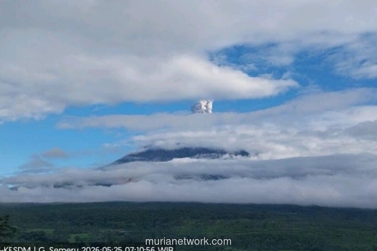 Gunung Semeru Erupsi, Kolom Abu Membumbung 1.000 Meter, Status Siaga Diperpanjang