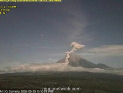 Gunung Semeru Erupsi, Kolom Abu Capai 2.000 Meter Disertai Awan Panas