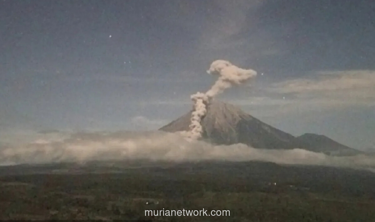 Gunung Semeru Erupsi Empat Kali dalam Semalam, Kolom Abu Capai 1.000 Meter