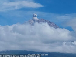 Gunung Semeru Erupsi, Kolom Abu Capai 600 Meter, Status Siaga
