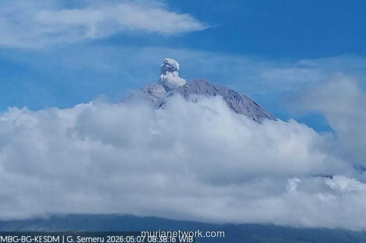 Gunung Semeru Erupsi, Kolom Abu Capai 600 Meter, Status Siaga