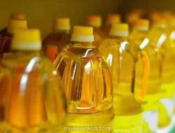 Indeks Harga Pangan Dunia Naik Tiga Bulan Beruntun, Dipicu Energi dan Konflik Timur Tengah