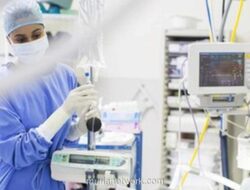 Hari Perawat Internasional 2026: Mengenang Florence Nightingale dan Seruan Pemberdayaan Perawat Global