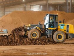 Harita Nickel Umumkan Buyback Saham Rp1 Triliun, Nilai Fundamental Dinilai Belum Tercermin